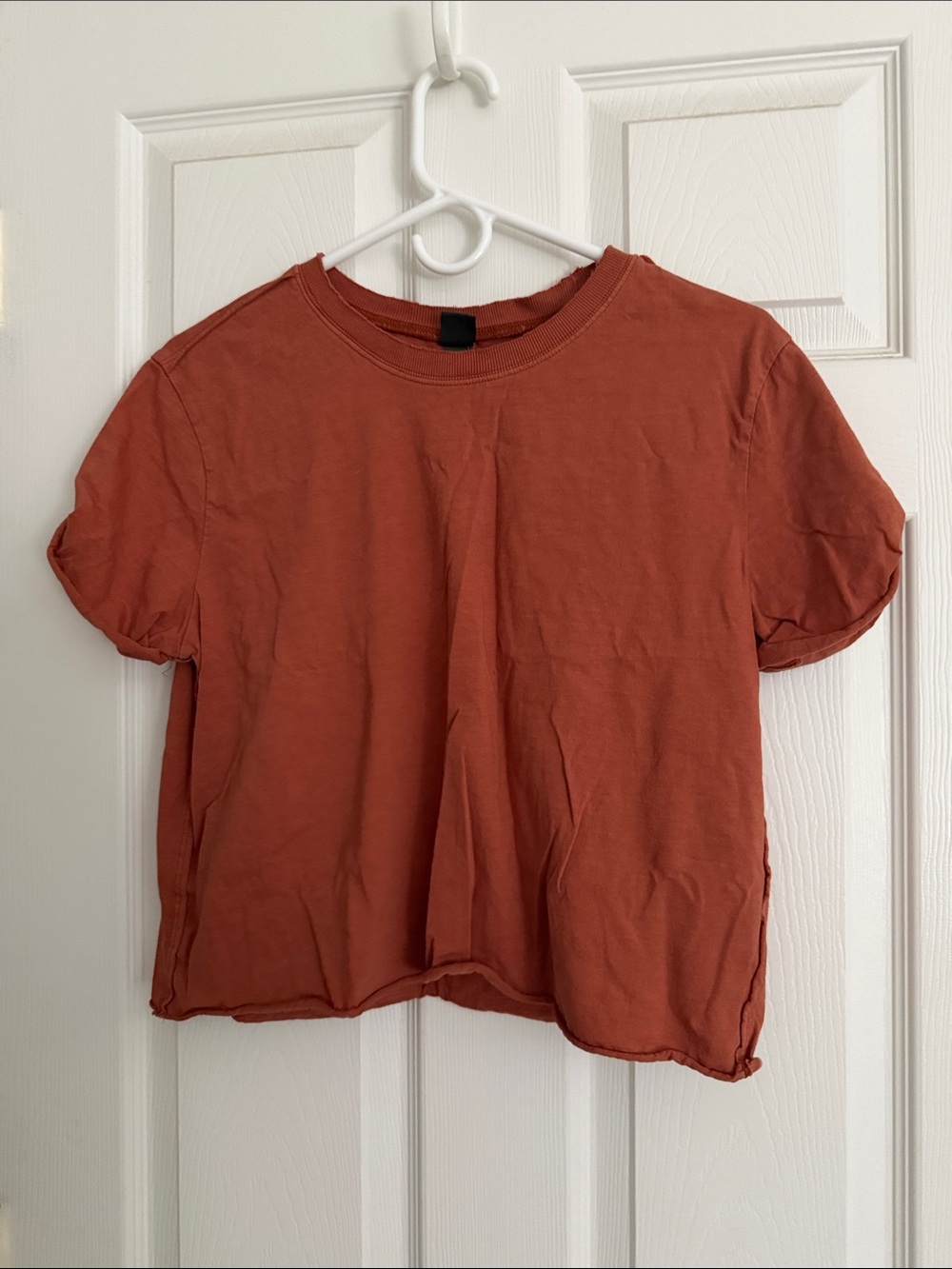 wild fable Rust Short Sleeve Crop Tee